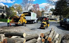 Grass Overseeding in Mullica Hill, NJ