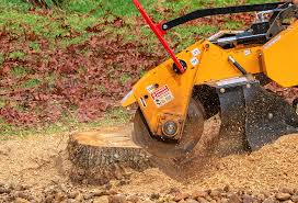 Best Utility Line Clearance  in Mullica Hill, NJ